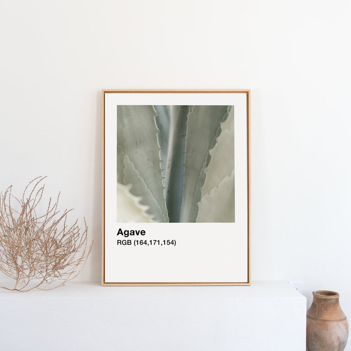 Agave Plant Botanical Photo With Color Label Minimalist Wall Art - Image 4