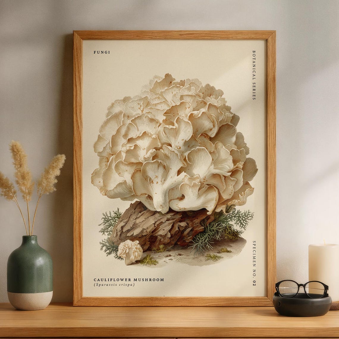 Cauliflower Mushroom Botanical Illustration Sparassis Crispa Wall Art