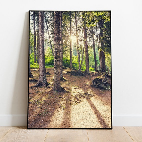 Forest Art Nature Print Sun Rays Photo Wood Photography Nature Wall Art Wall Decor Forest Landscape Print