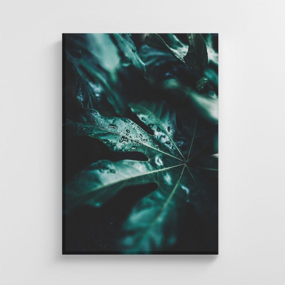 Wet Tropical Green Leafs Photo Large Nature Art Print Stylish Home Decoration Wall Art Nursery Decor Living Room Ic120