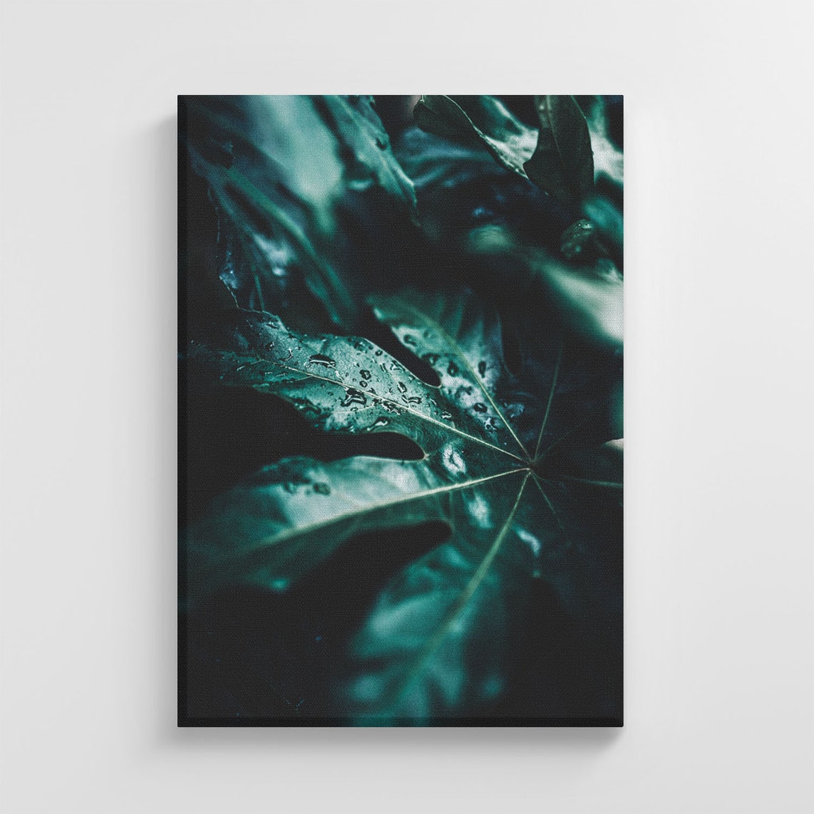 Wet Tropical Green Leafs Photo Large Nature Art Print Stylish Home Decoration Wall Art Nursery Decor Living Room Ic120
