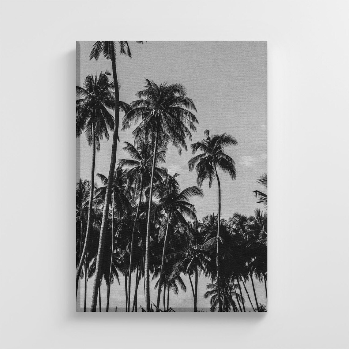 Tropical Summer Palm Trees, Nature Art Print