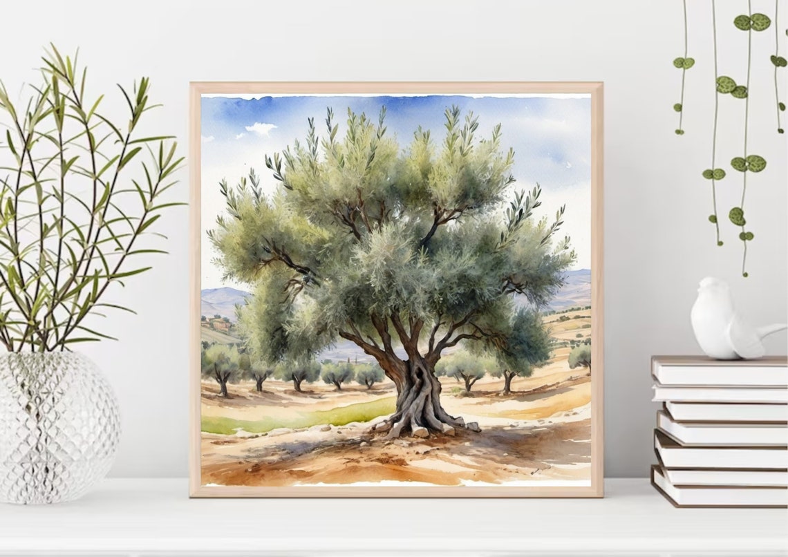 Santa Ynez Painting Olive Tree Watercolor Art Print California Country Landscape Wall Art Olive Plant Art Farmland Art Farmhouse Wall Decor - Image 4