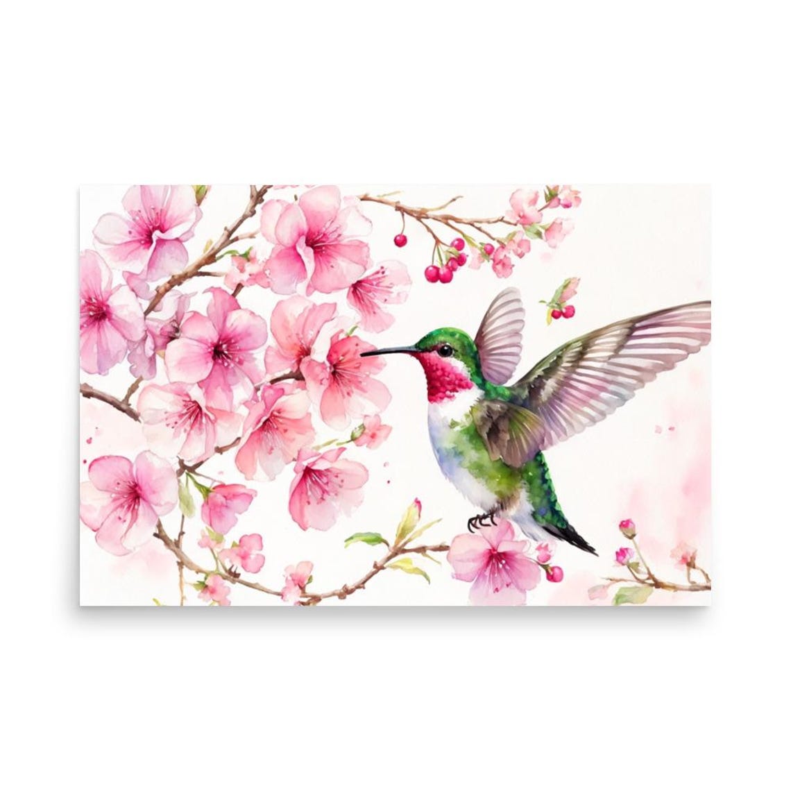 Ruby Throated Hummingbird With Pink Cherry Blossoms Watercolor Poster - Image 5