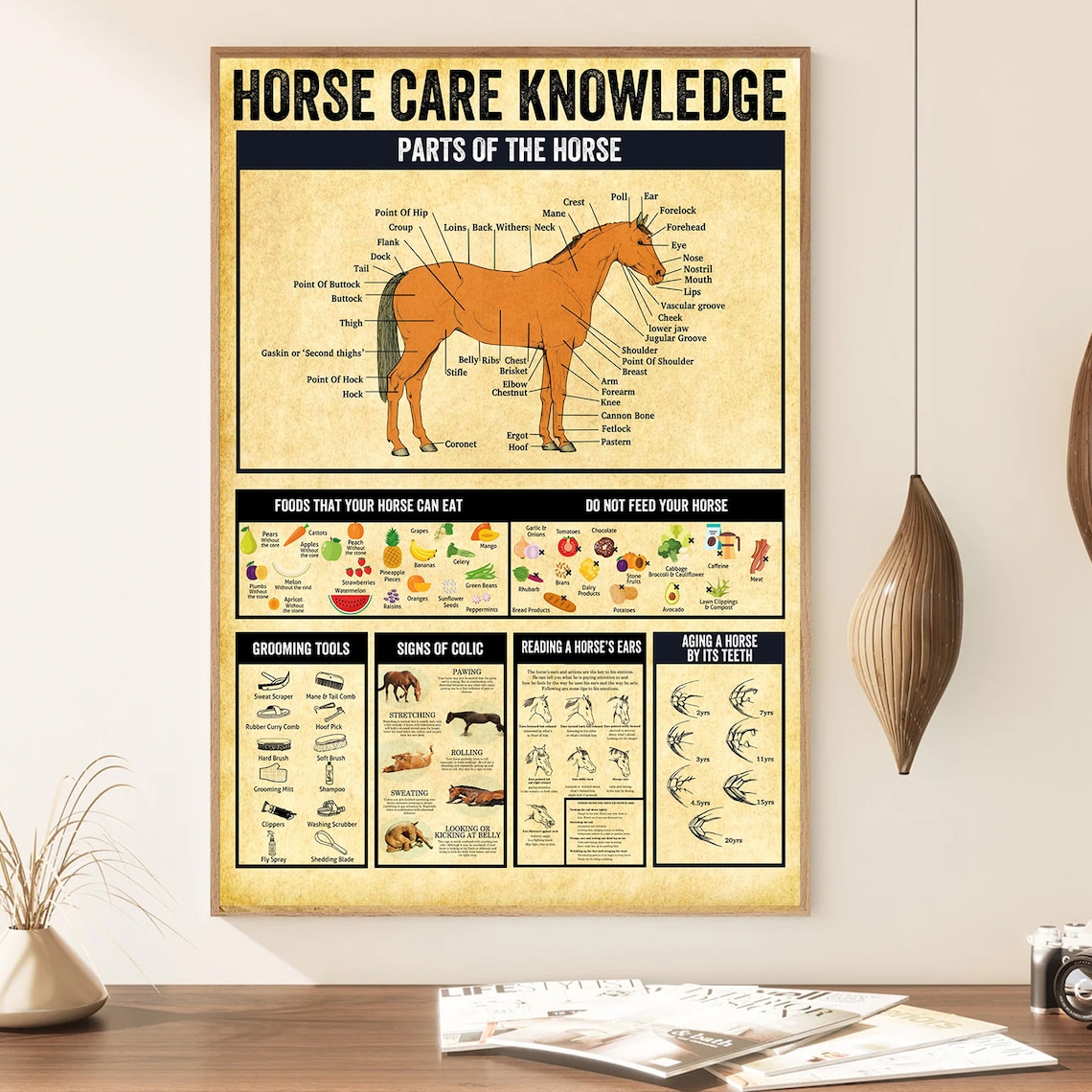 Horse Care Knowledge Guide for Horse Lovers Poster - Image 2