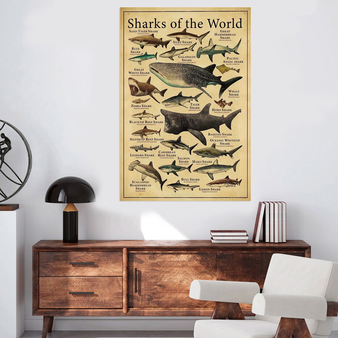 Sharks of the World Retro Illustrated Species Wall Chart Poster - Image 2