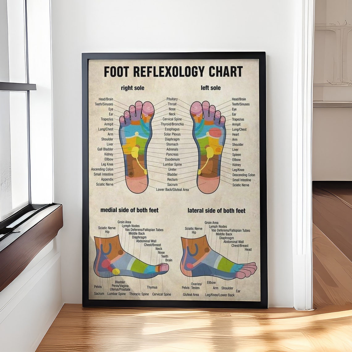 Vintage Foot Reflexology Chart Massage Therapy Educational Poster