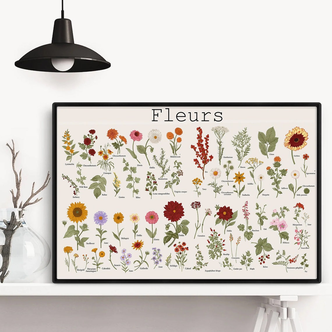 Fleurs Vintage French Botanical Flower Chart Educational Poster - Image 4