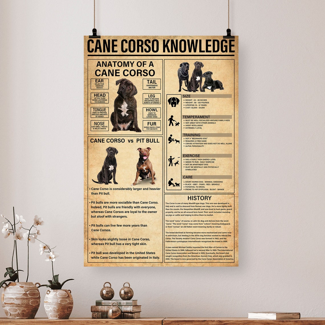 Cane Corso Knowledge Anatomy Breed Facts Vintage Dog Chart Poster