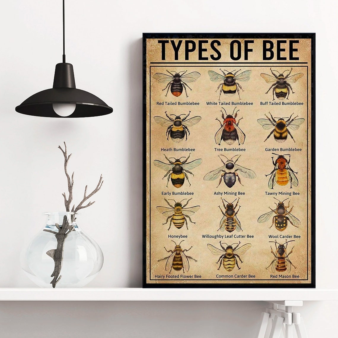 Types Of Bee Retro Nostalgic Poster - Image 4
