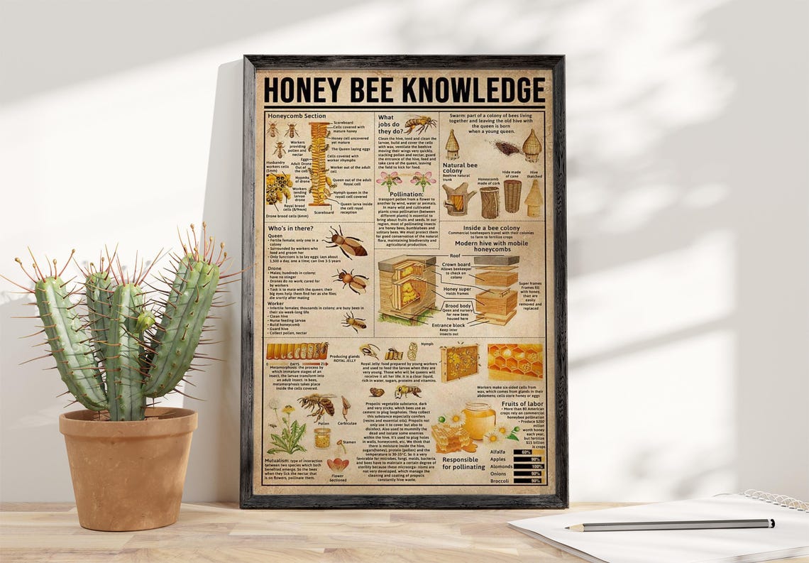 Honey Bee Knowledge Poster - Image 3