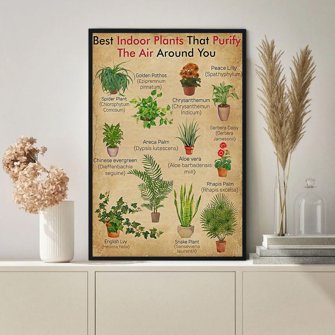 Best Indoor Plants That Purify the Air Botanical Chart Poster - Image 3