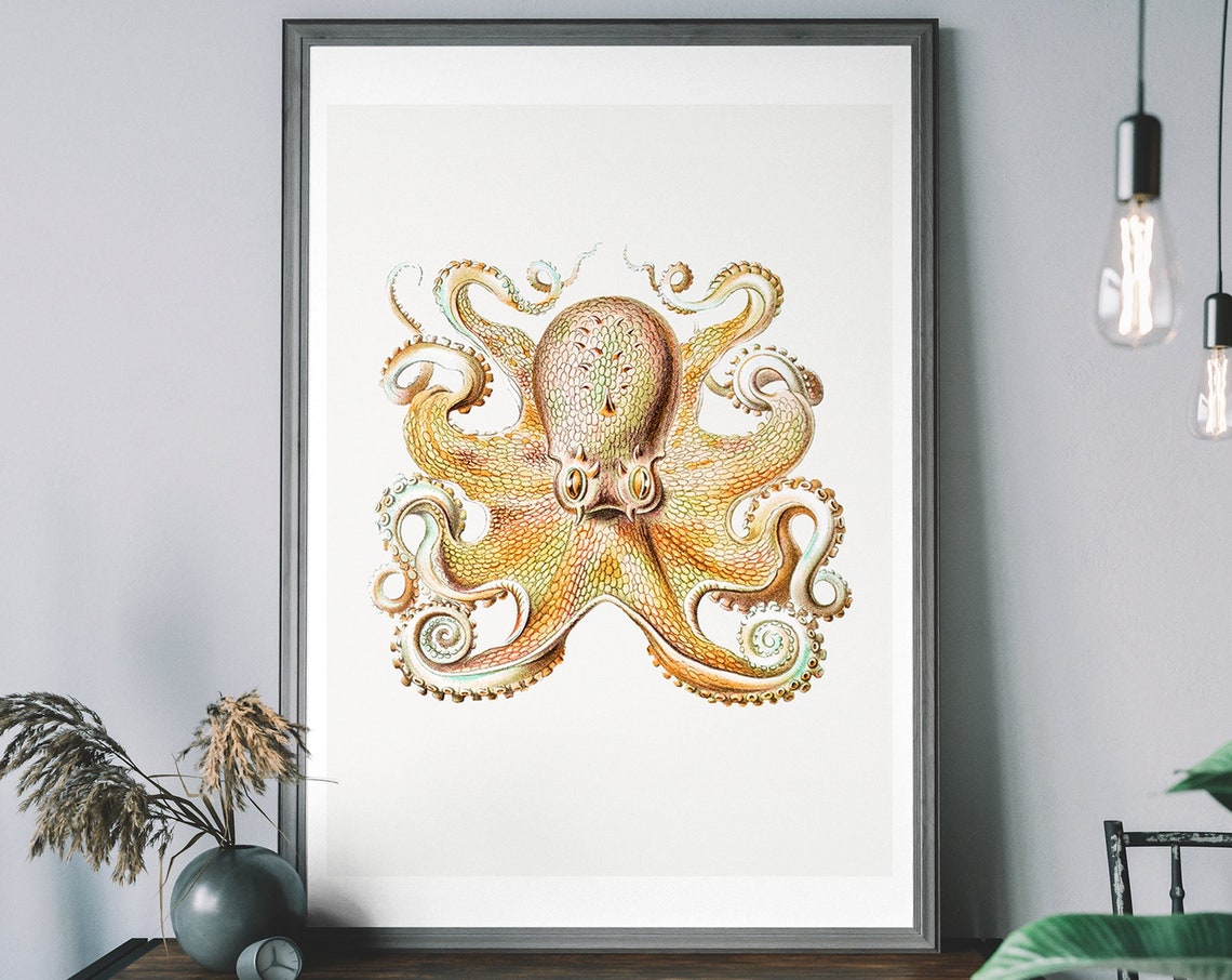 Vintage Octopus Art Print Antique Ocean Diagram Wall Victorian Illustration