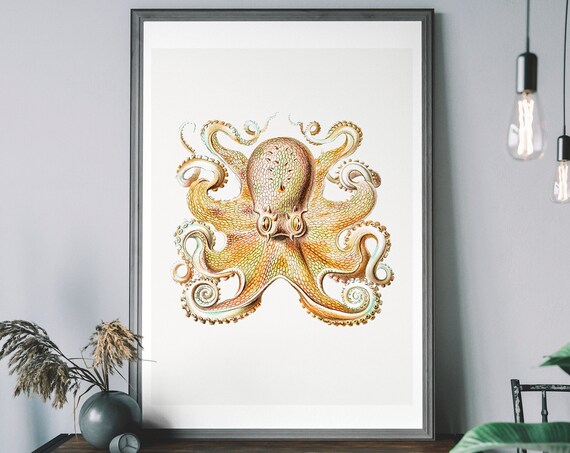 Vintage Octopus Antique Ocean Illustration Victorian Natural History Wall Art