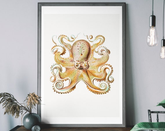 Vintage Octopus Art Print Antique Ocean Diagram Wall Victorian Illustration