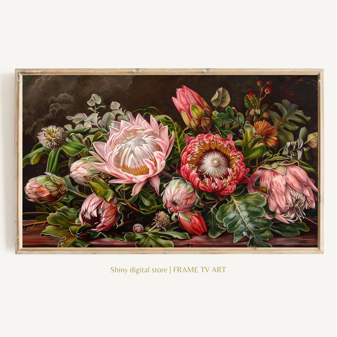 Protea Flowers Still Life Pink Red Blooms Dark Botanical Art Print