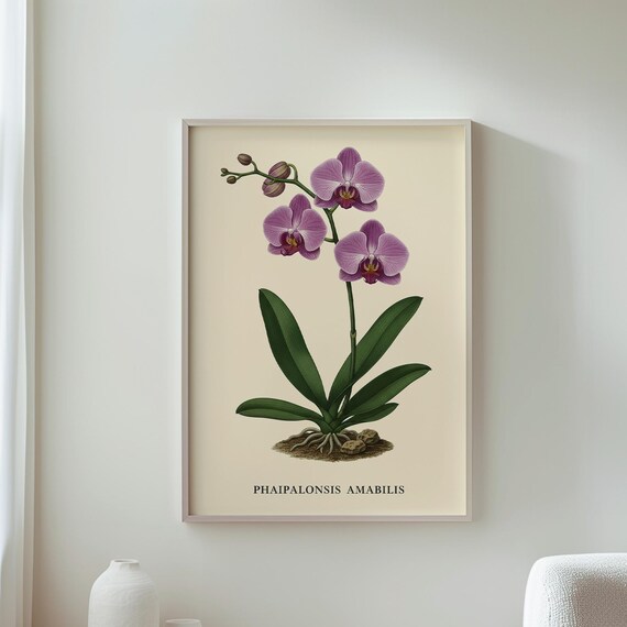 Elegant Orchid Vintage Floral Art Print