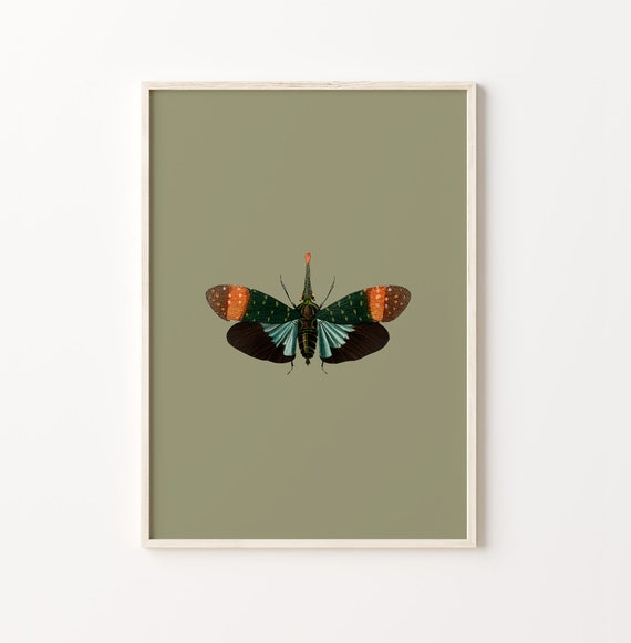 Colorful Butterfly Gallery Art Modern Farmhouse Nursery Dcor Butterfly Art Set Kids Room Dcor Butterfly Art Set