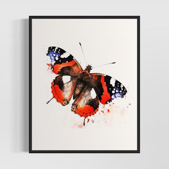 Red Admiral Butterfly Art Print Red Admiral Butterfly Painting Wall Art Poster Original Artwork By Artist