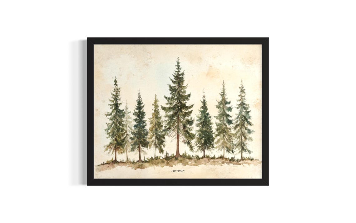 Fir Trees Watercolor Botanical Blue Green Evergreen Forest Poster
