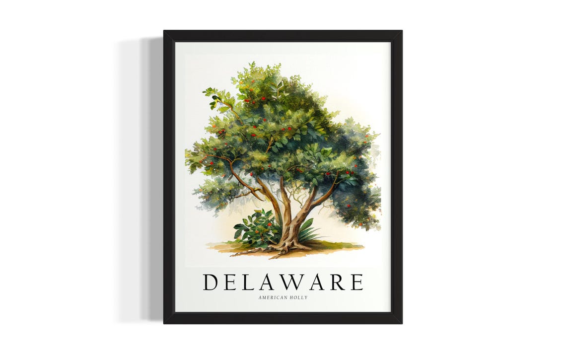 Delaware American Holly Tree Watercolor Botanical Art Poster