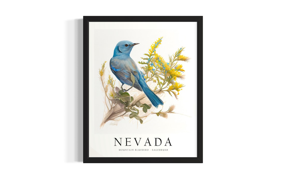 Nevada Mountain Bluebird Sagebrush Bird Watercolor State Bird Poster