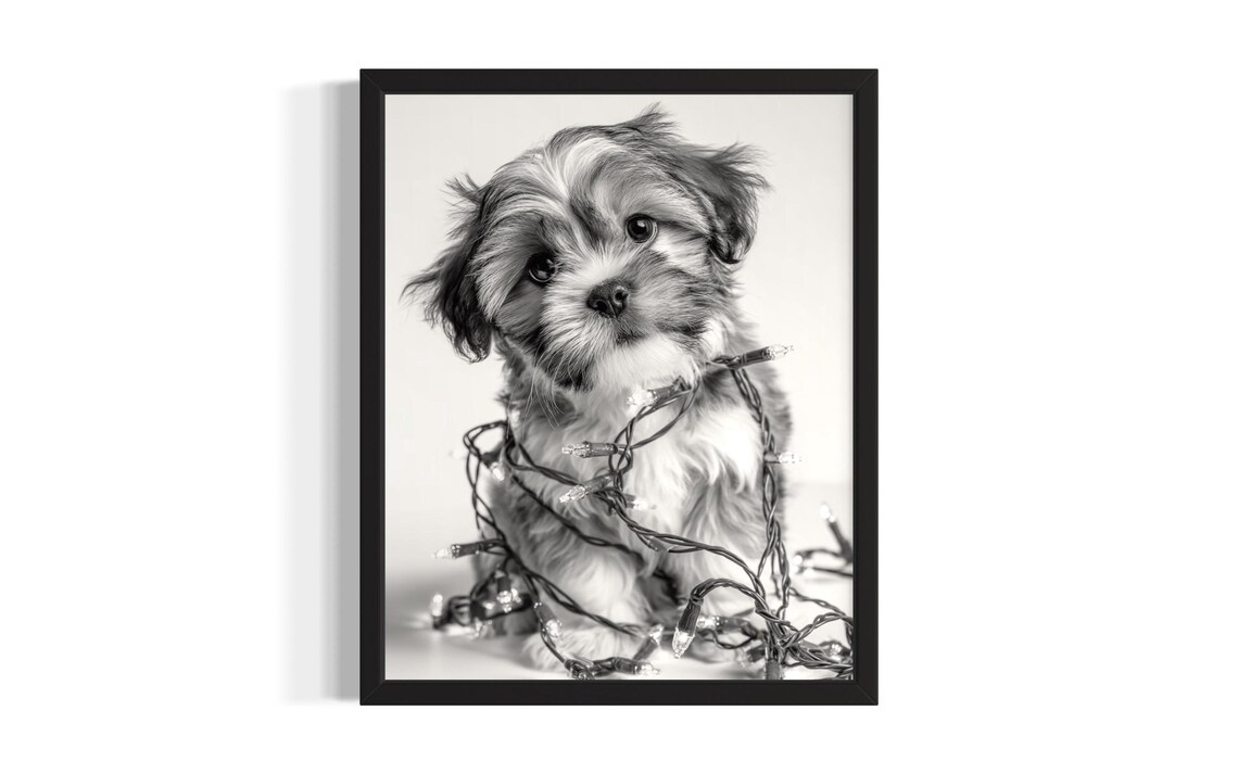 Tiny Shih Tzu Puppy Tangled In Twinkling Christmas Lights Poster