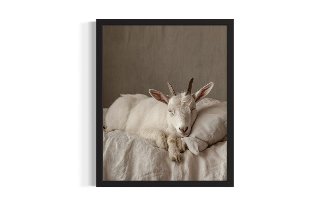 Sweet White Baby Goat Sleeping on Cream Bedding Nursery Poster