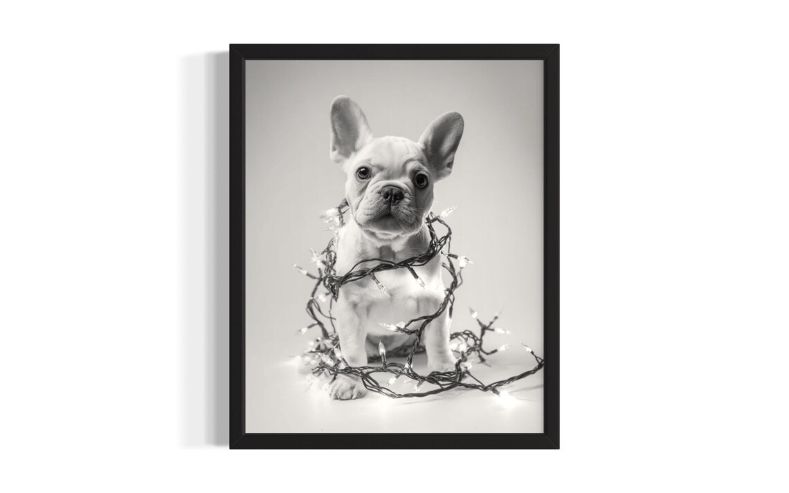 Cream French Bulldog Puppy Tangled In Christmas Lights Poster