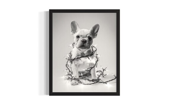 Cream French Bulldog Puppy Tangled In Christmas Lights Poster