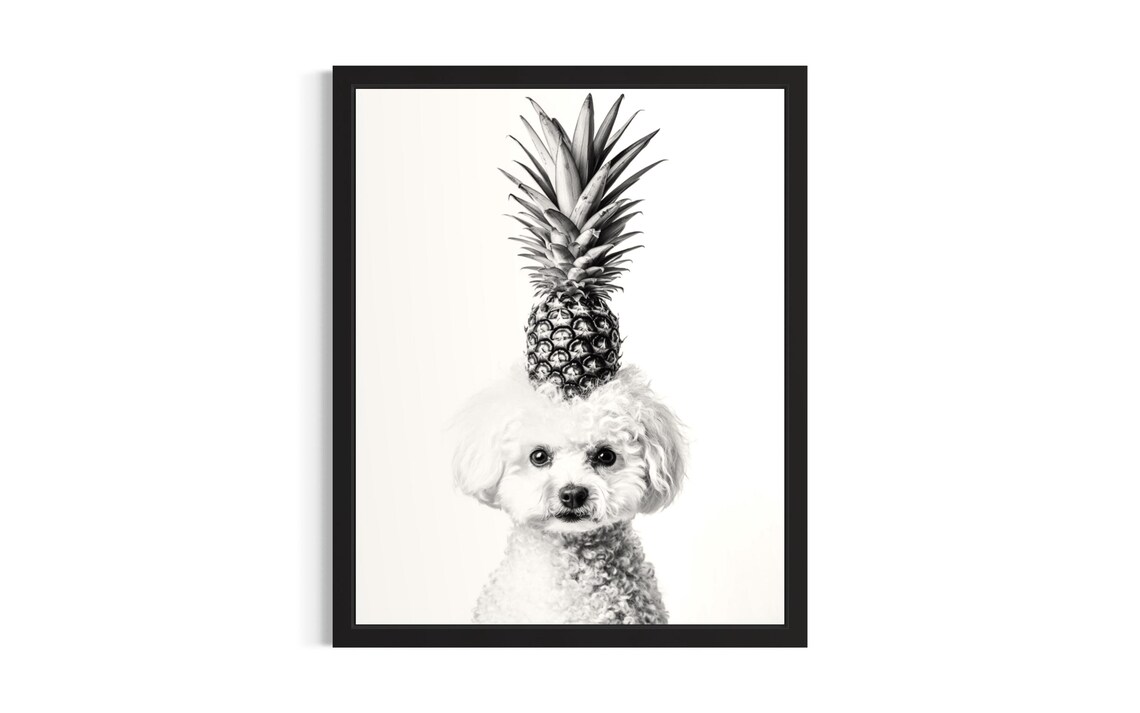 Bichon Frise Balancing Pineapple Black And White Dog Portrait Poster