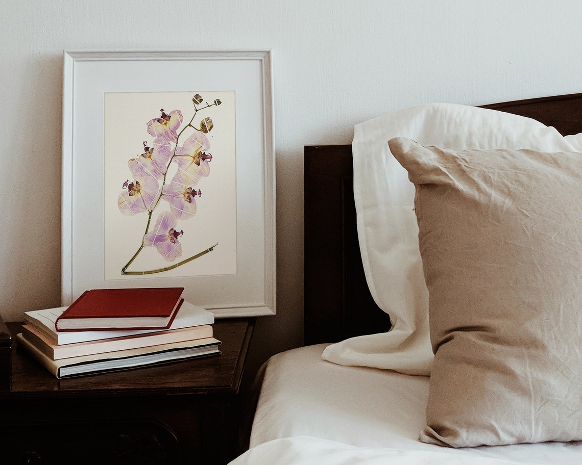 Pressed Lavender Orchid Vintage Botanical Illustration Wall Art - Image 2