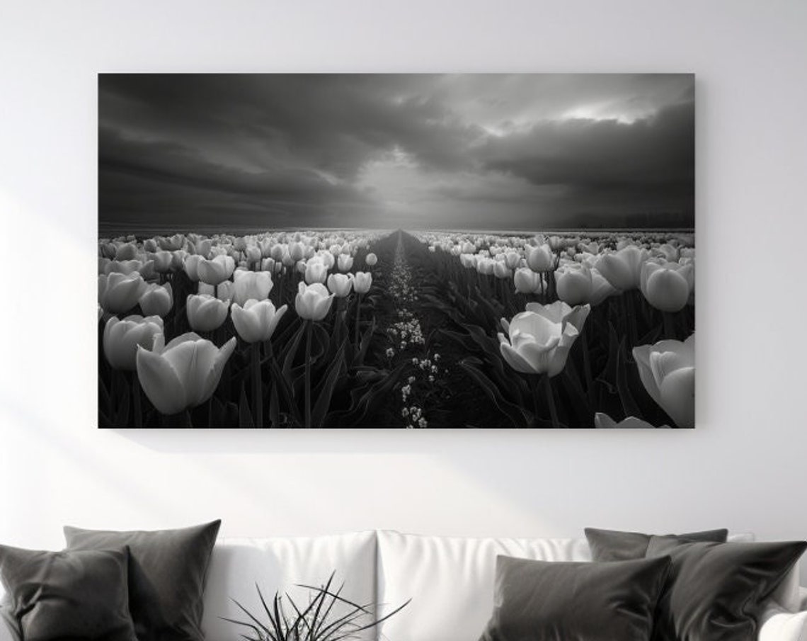Black White Tulip Field Rows Dramatic Cloudy Sky Fine Art Photo Poster