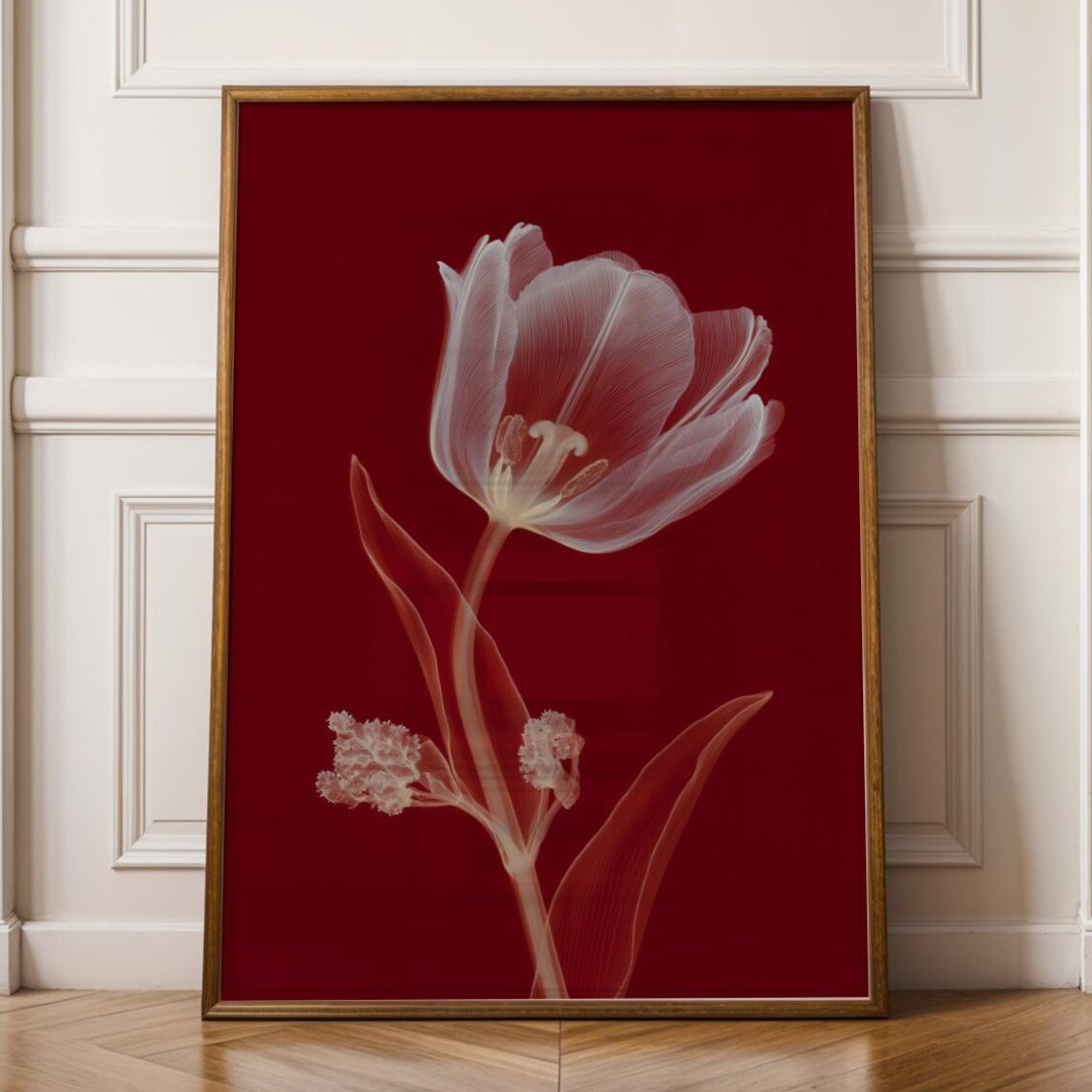 Red Xray Tulip Flower Wall Art Print Minimal Poster Deep Botanical