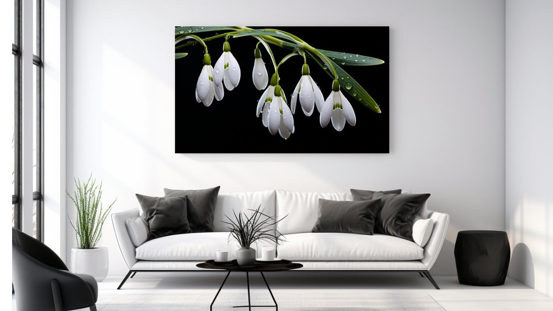 White Snowdrop Flowers Black Background Macro Botanical Wall Art Print