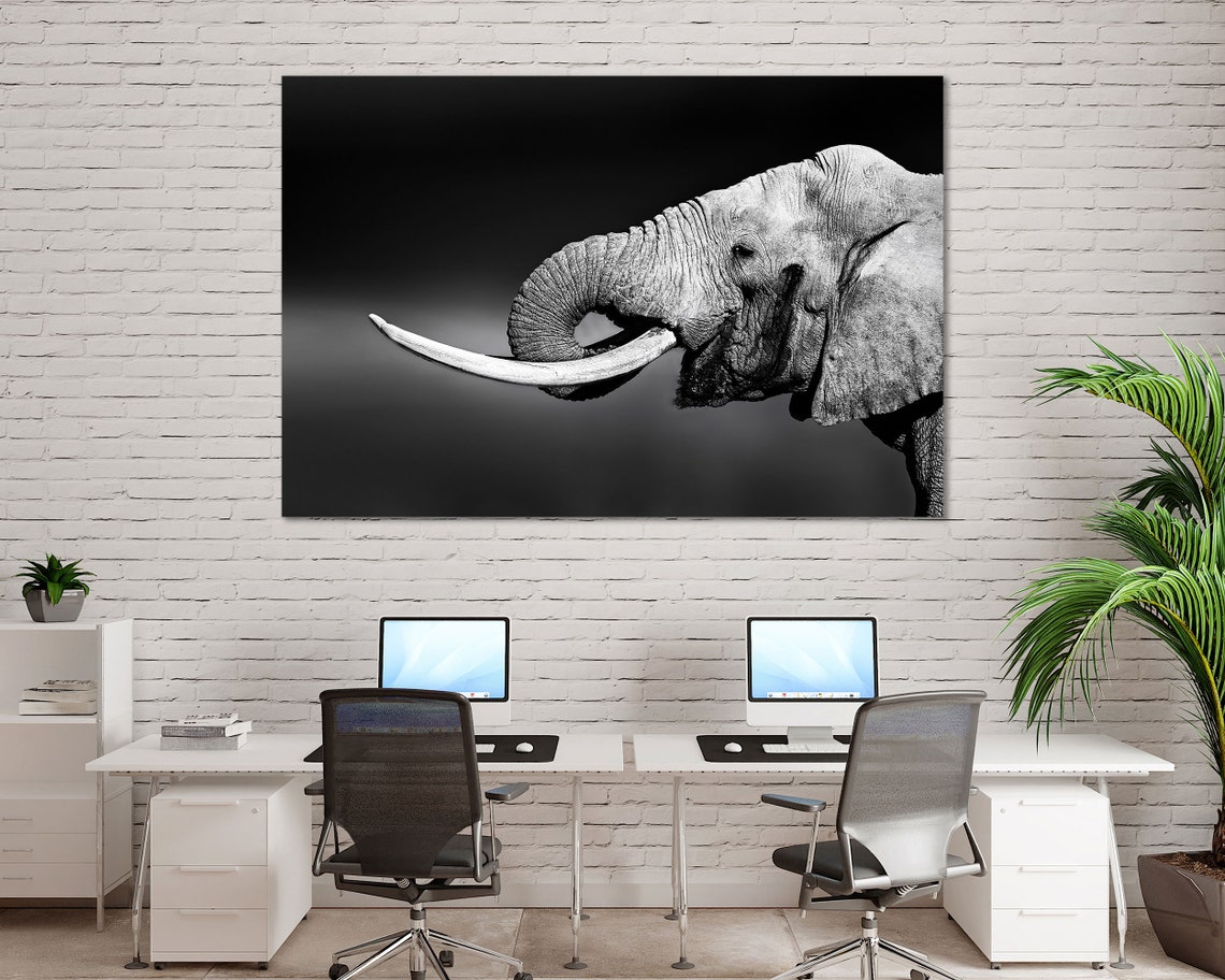 African Elephant Black White Triptych Close Up Wildlife Wall Art - Image 4