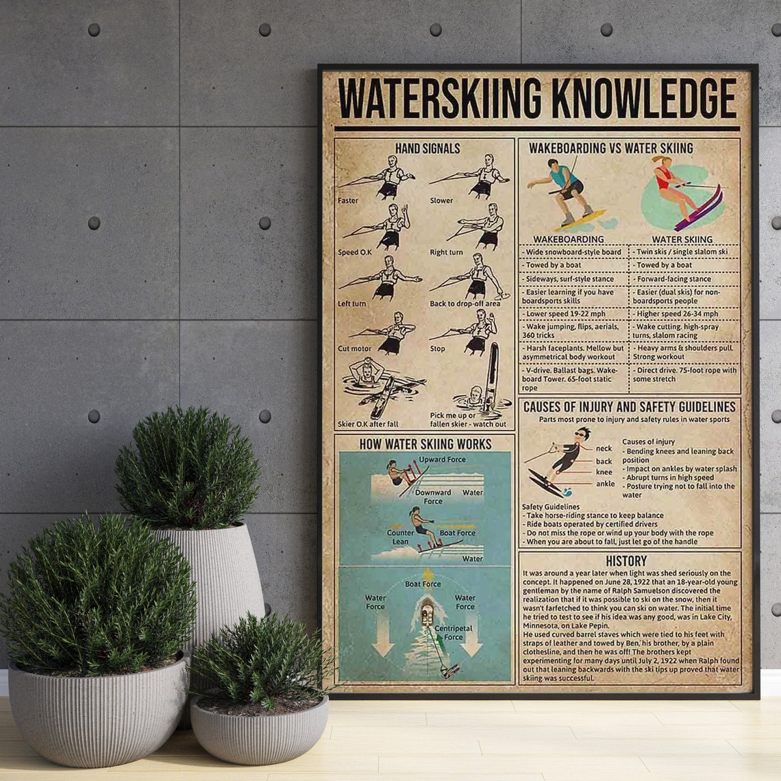 Waterskiing Knowledge Hand Signals and Safety History Poster - Image 3