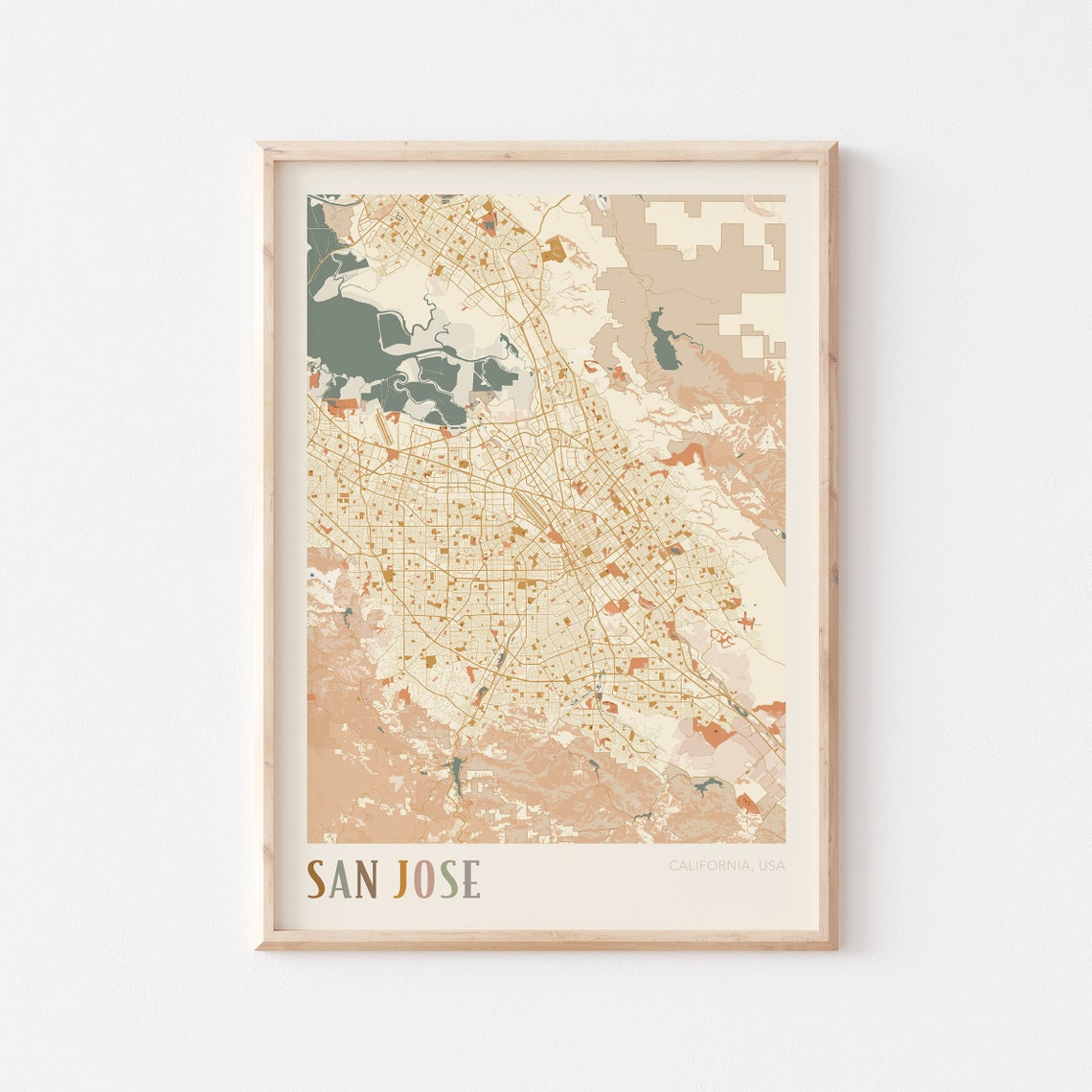 San Jose California Detailed City Map Multicolor Art Decor Poster