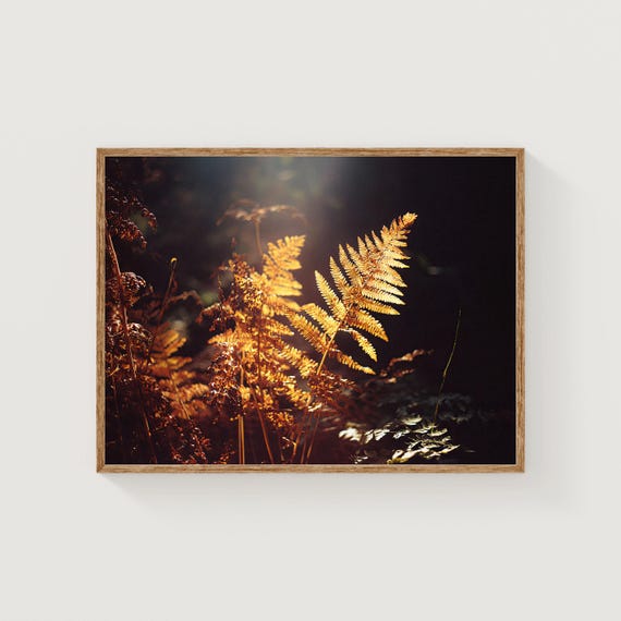 Golden Fern Print Autumn Forest Wall Art Warm Film Photography