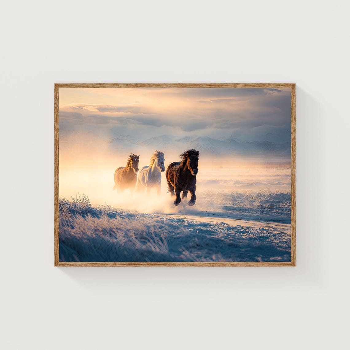 Icelandic Horses Galloping Snowy Mist Golden Light Photography Poster