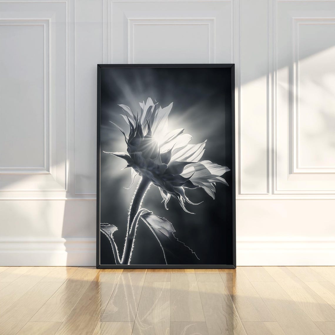 Backlit Sunflower in Black and White Dramatic Flower Photo Poster