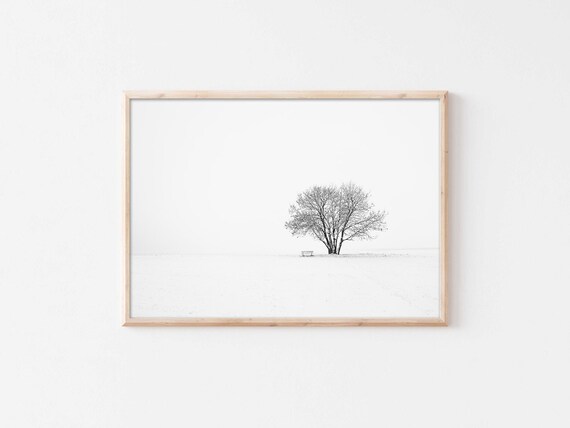 Lone Bare Tree In Vast Snowy Field Minimalist Winter Photo Poster