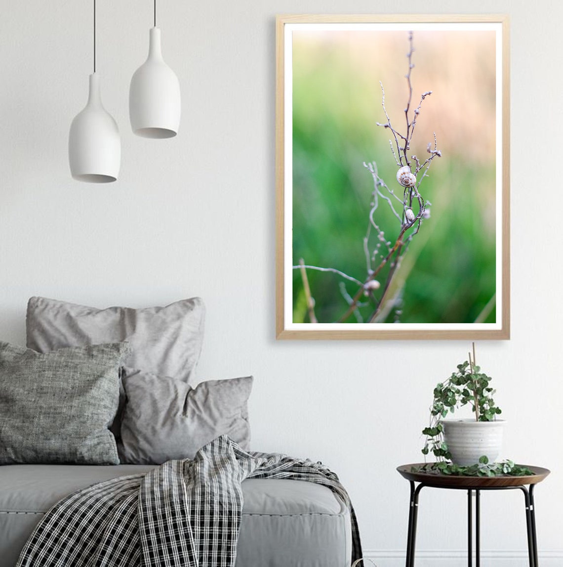 Snail Shell Resting On Bare Branch Macro Nature Photography Poster - Image 2