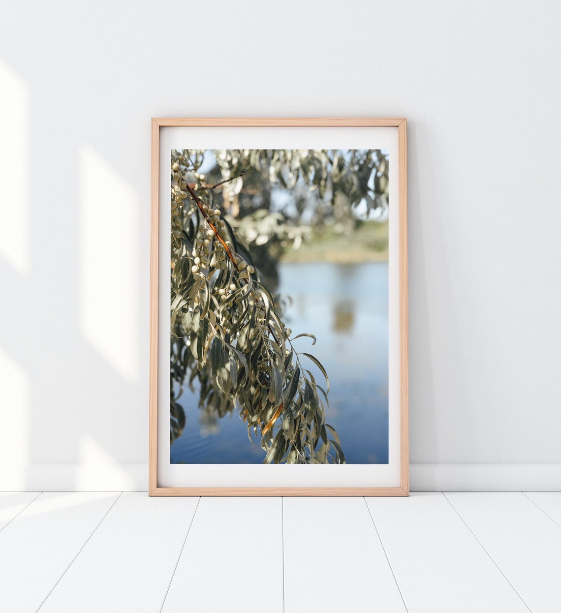 Silver Green Branches With Berries Over Calm Water Nature Poster - Image 3
