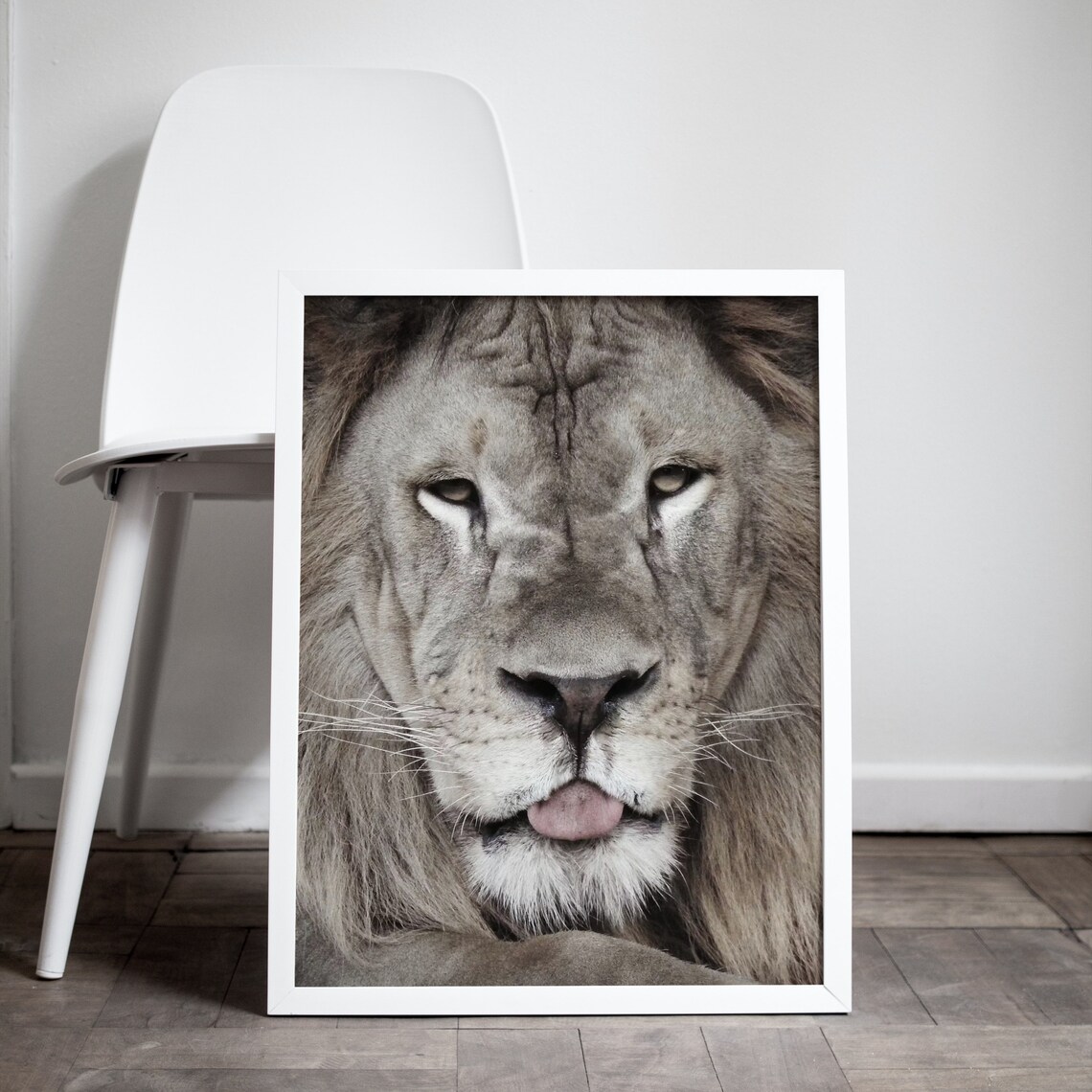 Lion Sticking Tongue Out Playful Wild Animal Portrait Poster - Image 4