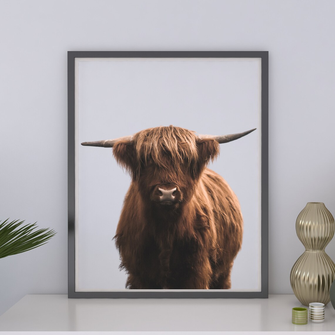 Highland Cow Poster Shaggy Brown Cow Portrait On Clean White - Image 2