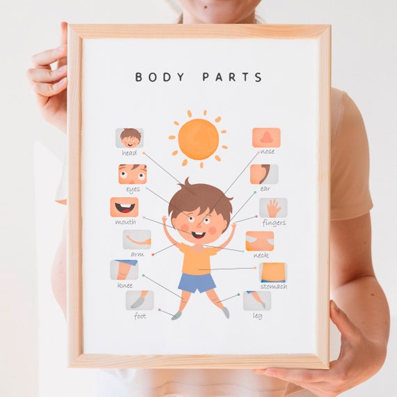 Body Parts Educational Poster, Nursery Classroom Decor