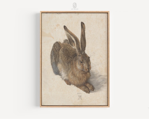 Albrecht Durer Young Hare 1502 Watercolor Rabbit Wildlife Art Poster