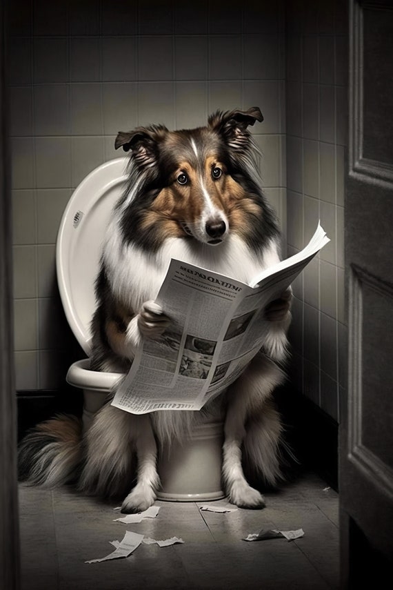 Collie Sitting On The Toilet Reading A Newspaper Funny Bathroom Wall Art Funny Dog Photo Animal Prints Home Ai Print
