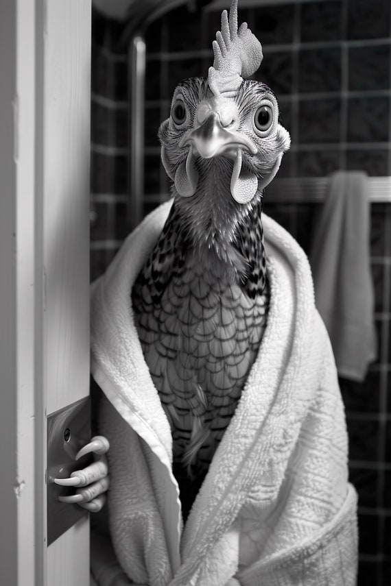 Chicken In A Bathrobe Funny Bathroom Wall Art Quirky Animal Art Funny Chicken In Bath Humor Print Home Ai Wall Art Prints